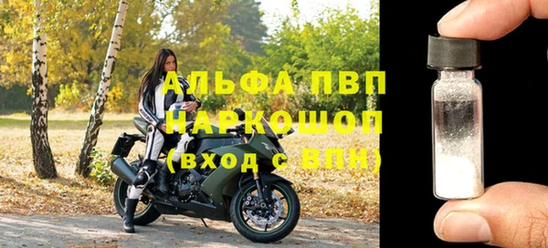 индика Белокуриха