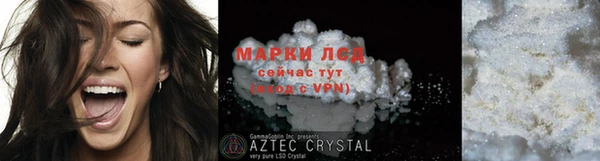 прущие грибы Баксан