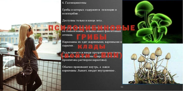 прущие грибы Баксан