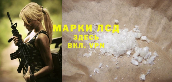 прущие грибы Баксан