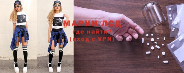 прущие грибы Баксан