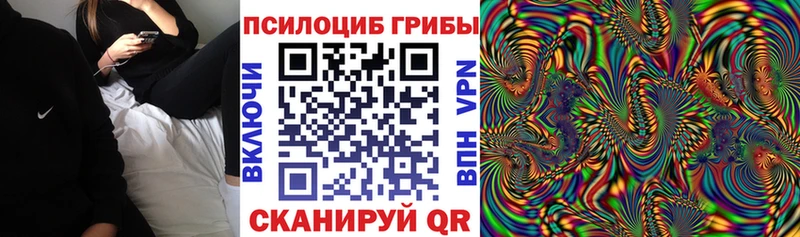 omg ONION Кодинск Галлюциногенные грибы прущие грибы
